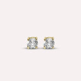 Gold Fia Earrings